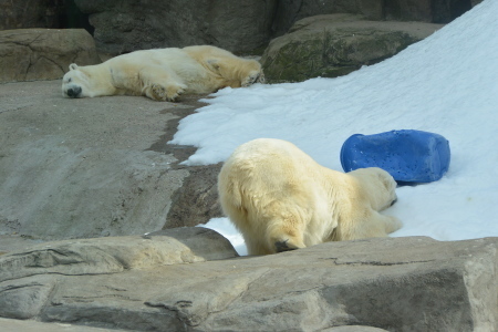 f0344626_16102921.jpg