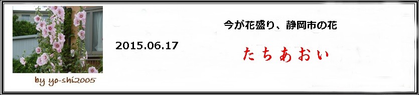 e0033229_21491323.jpg