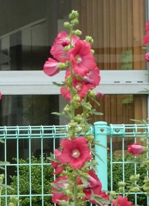 e0033229_2213723.jpg