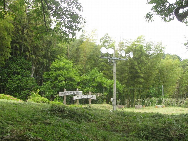 f0054429_22434878.jpg