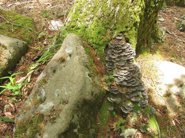 f0054429_231075.jpg