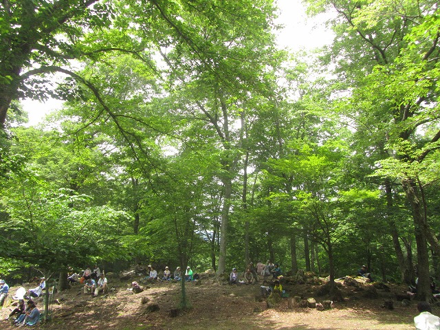 f0054429_2334993.jpg