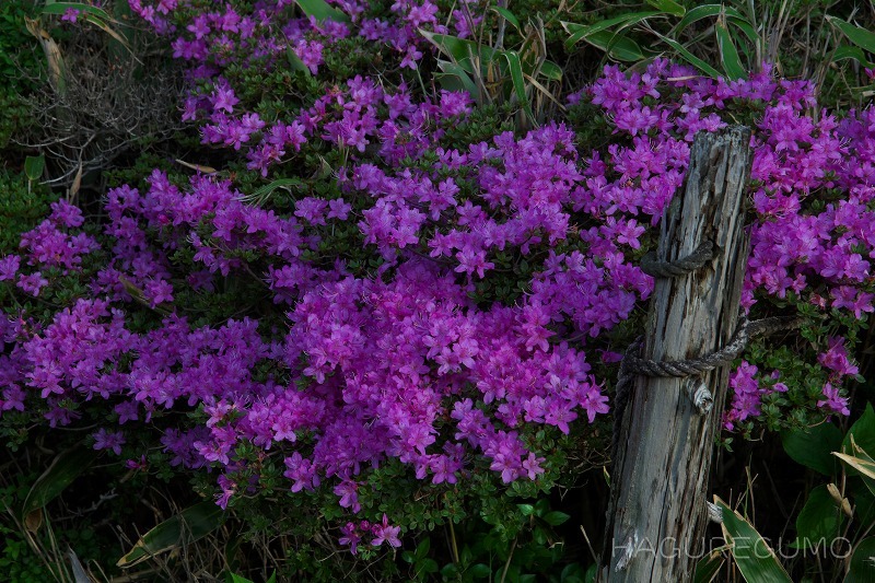 b0349835_05150455.jpg