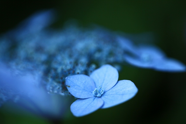 a0242438_1929130.jpg