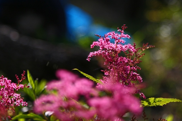 a0242438_19293171.jpg