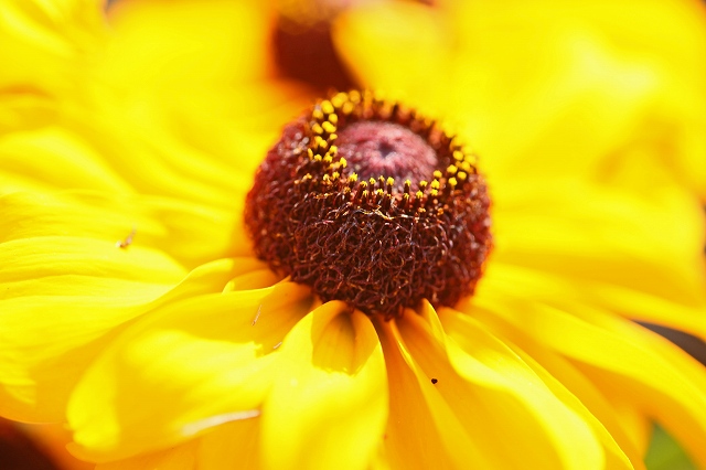 a0242438_1930441.jpg
