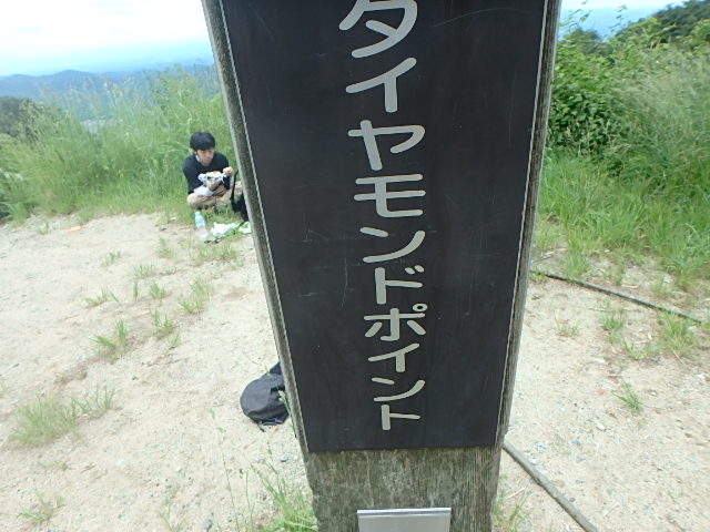 f0334143_21541789.jpg