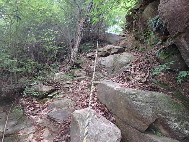 f0334143_21542373.jpg