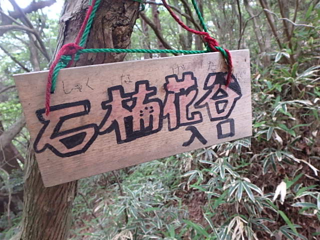 f0334143_2154363.jpg