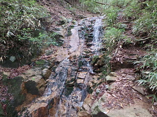 f0334143_21544540.jpg
