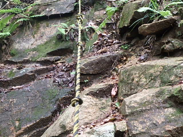 f0334143_21545852.jpg