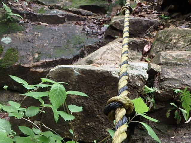 f0334143_21563817.jpg