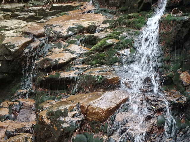 f0334143_21565167.jpg