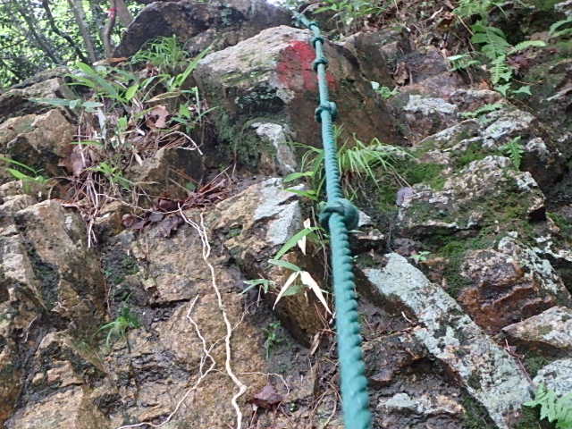 f0334143_2157094.jpg