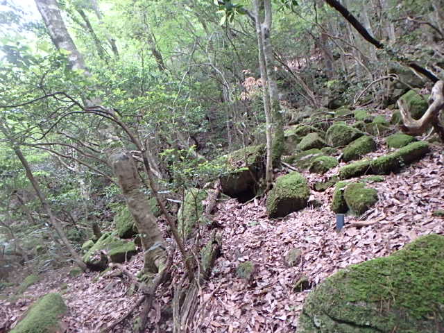 f0334143_21571850.jpg