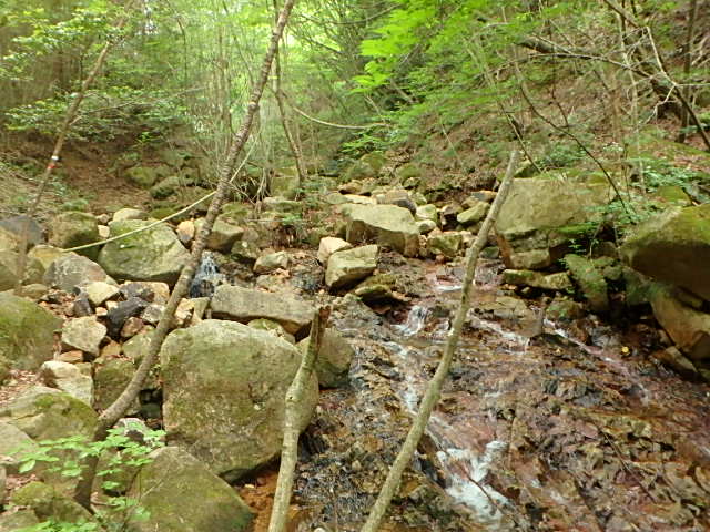 f0334143_21573959.jpg