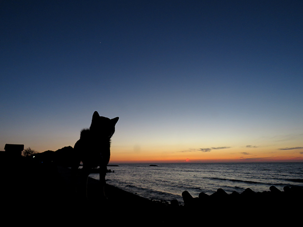 f0214649_4244890.jpg