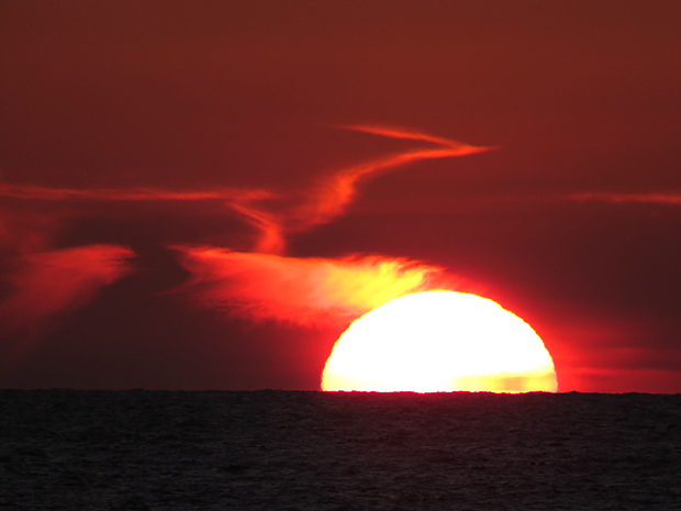 f0214649_424972.jpg