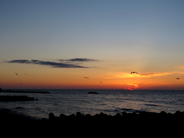 f0214649_4262131.jpg