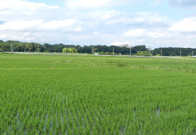 e0172950_19513976.jpg