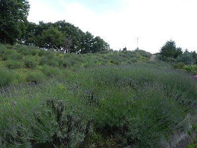 e0172950_213210.jpg