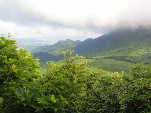 c0179351_21552426.jpg