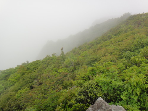 c0179351_21582870.jpg