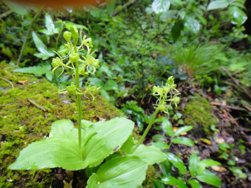 c0179351_21593061.jpg