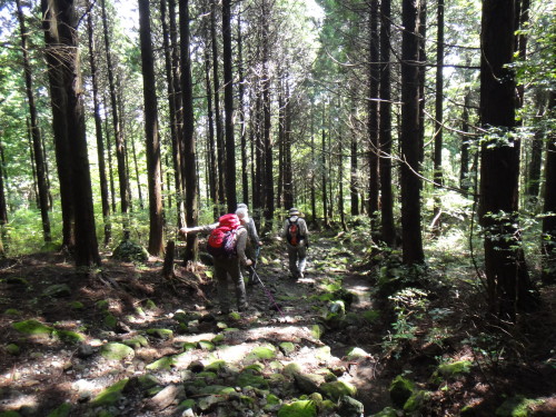 c0179351_2201467.jpg