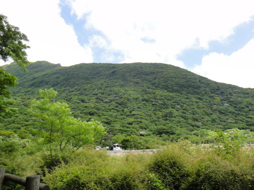c0179351_2204720.jpg