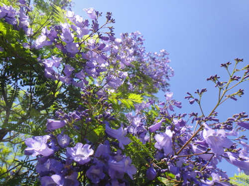 c0179351_2252487.jpg