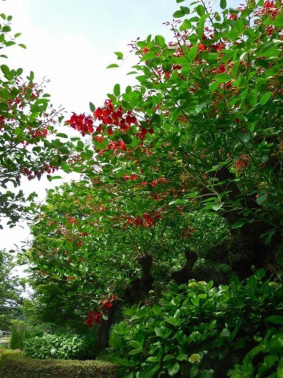 f0130557_16152242.jpg