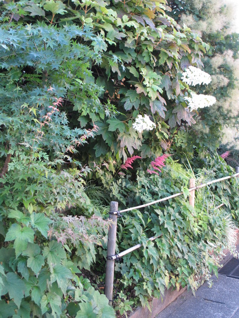 a0243064_210331.jpg