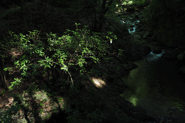 e0346064_2316241.gif