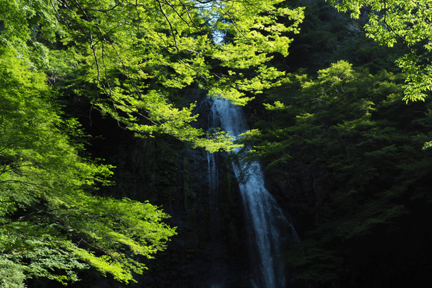 e0346064_2317053.gif