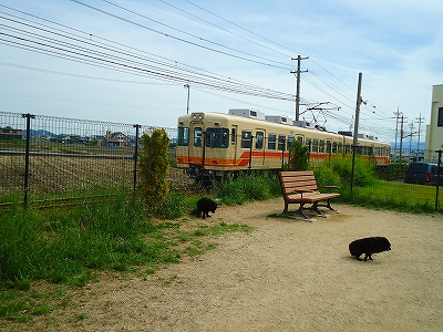 e0002466_10321550.jpg
