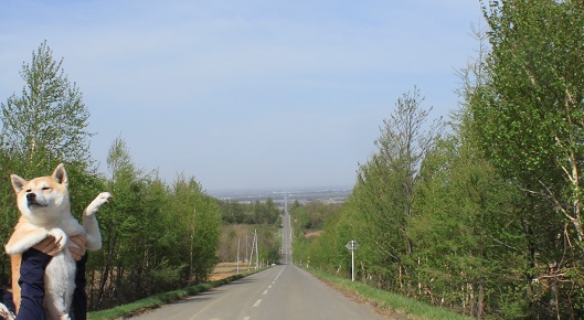 f0230777_20394246.jpg
