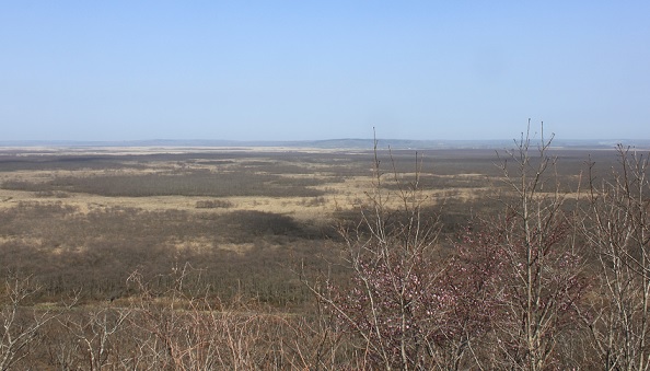 f0230777_2044339.jpg