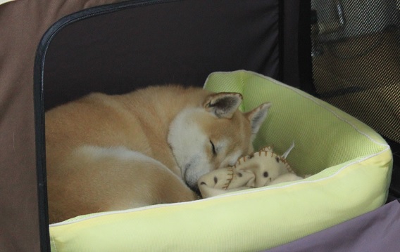 f0230777_20514271.jpg