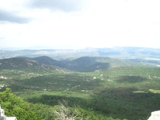 b0191284_1414266.jpg