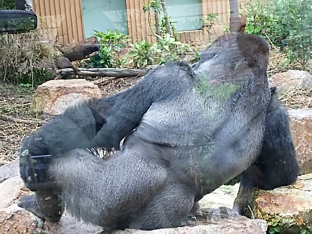 c0204188_13585158.jpg