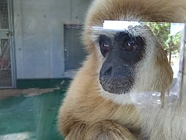 c0204188_14124765.jpg