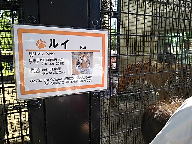 c0204188_1424418.jpg