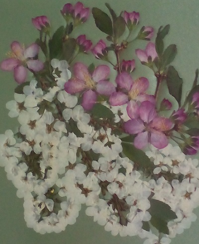 e0023790_230511.jpg