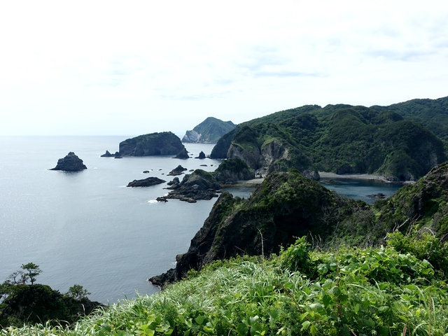 a0229491_23102728.jpg