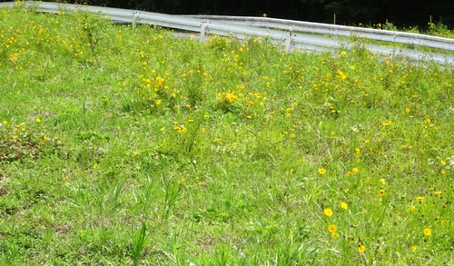d0212491_020531.jpg