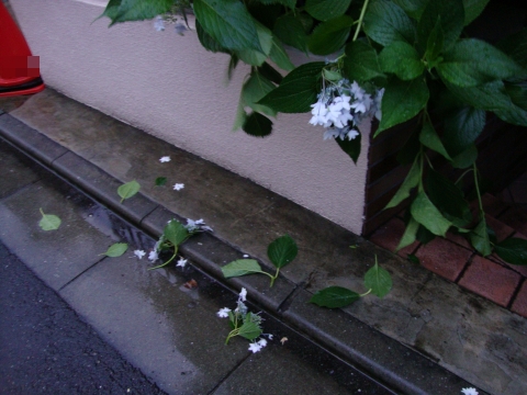 c0322794_051244.jpg