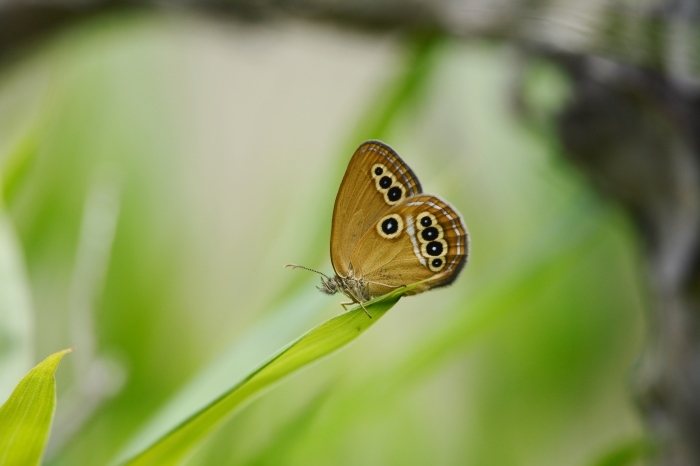 a0277496_18031892.jpg