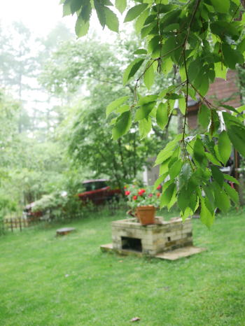 c0090198_15111473.jpg