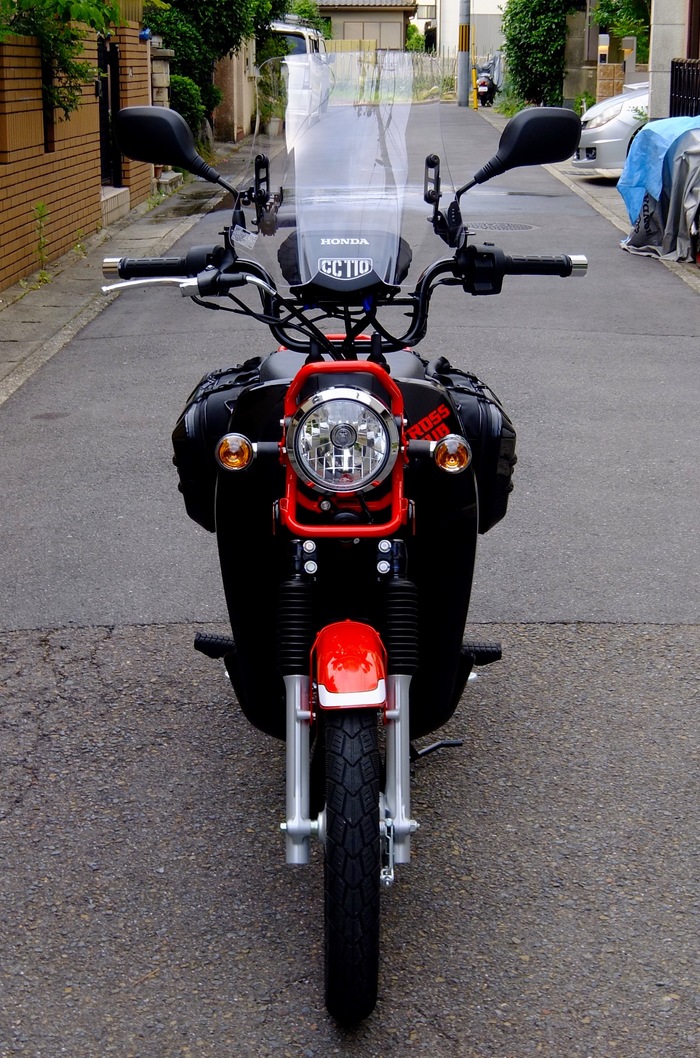 d0117999_620371.jpg